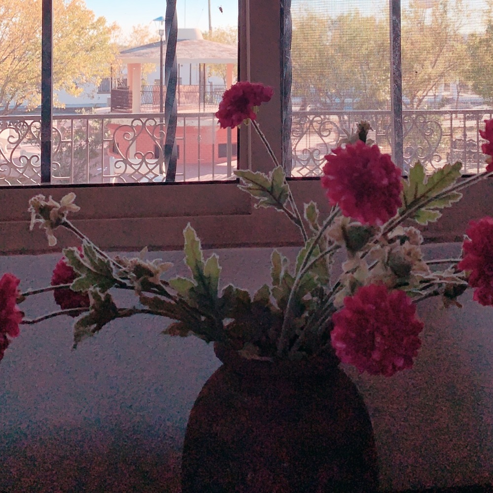 Meet your Posher, Karina